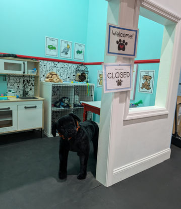 The Bees Knees Play Cafe Imaginative Veterinary Play